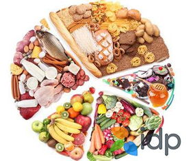 美國留學食品營養學十大名校推薦 聚焦食品安全與營養咨詢服務